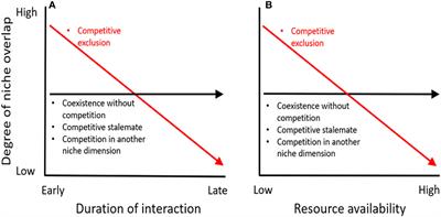 Conventional niche overlap measurements are not effective for assessing interspecific competition